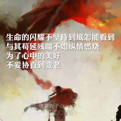 《追梦赤子心》那年那兔那些事儿片尾曲 歌词海报系列 文字 王耀