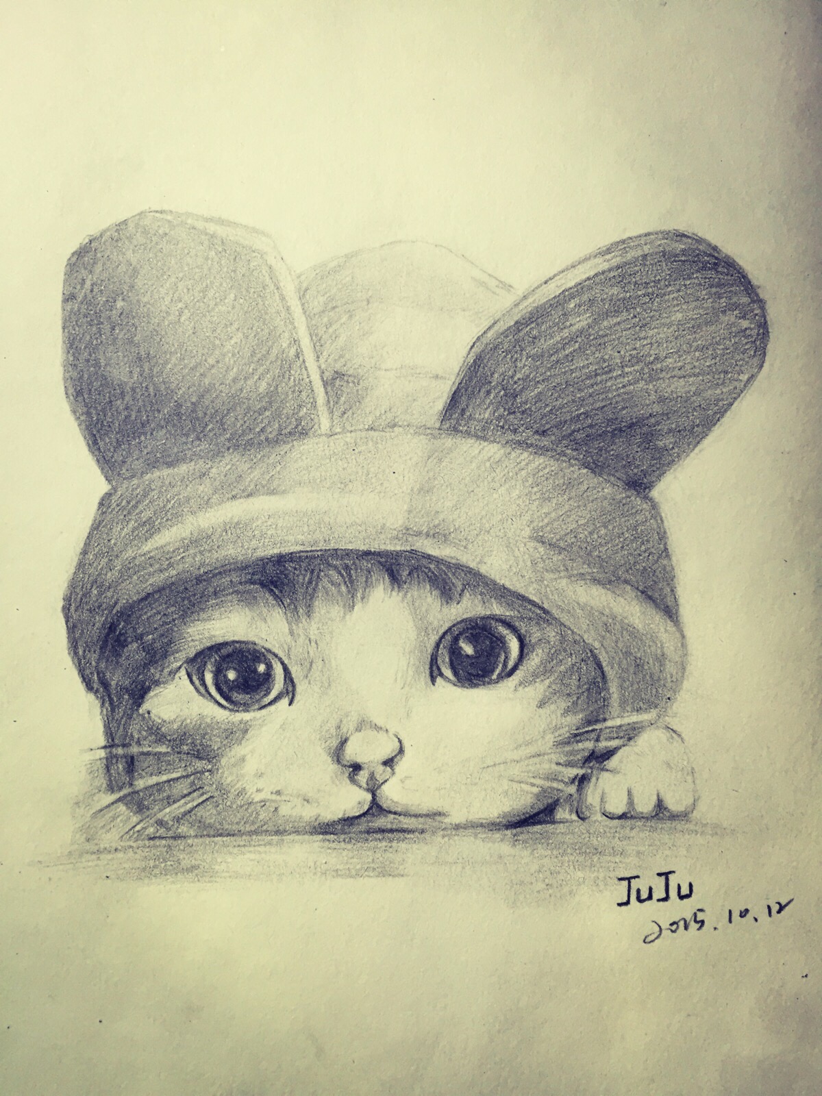 彩铅 素描猫|纯艺术|绘画|paulwade123 - 原创作品 - 站酷 (ZCOOL)