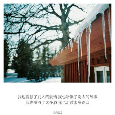 我也看够了别人的爱情 我也听够了别人的故事 我也喝够了太多酒 我也