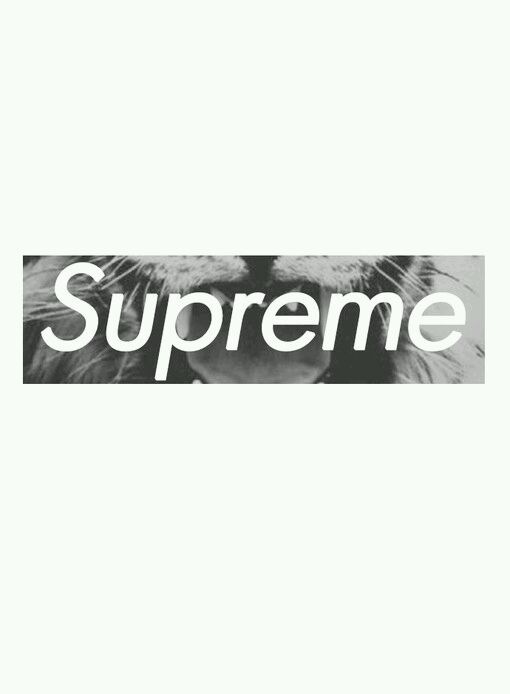 壁纸supreme