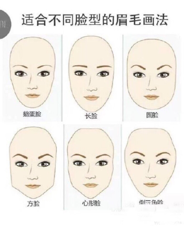 适合不同脸型的眉毛画法