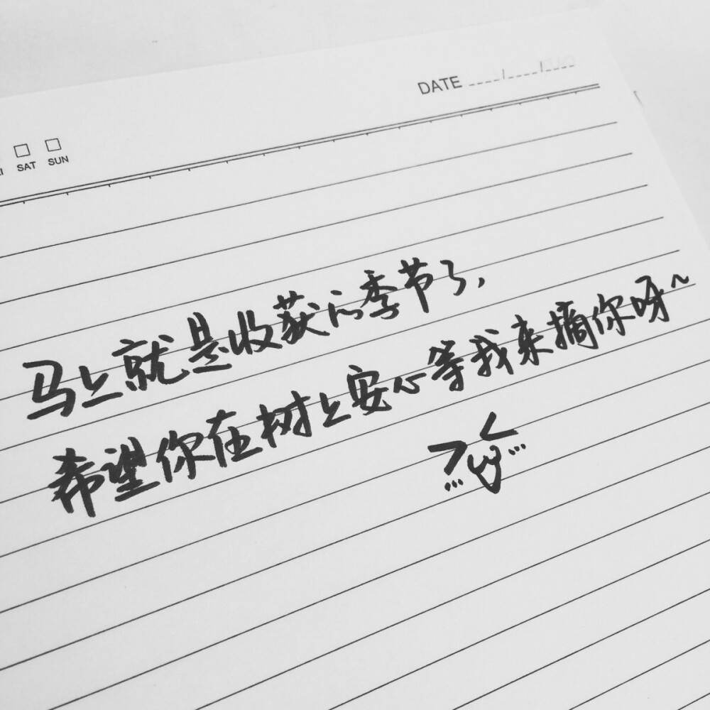 手写 文字 句子 温暖 治愈 情绪 可爱 手写by@sun了个晒