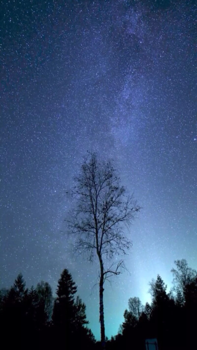 夜空中最亮的星 堆糖 美图壁纸兴趣社区