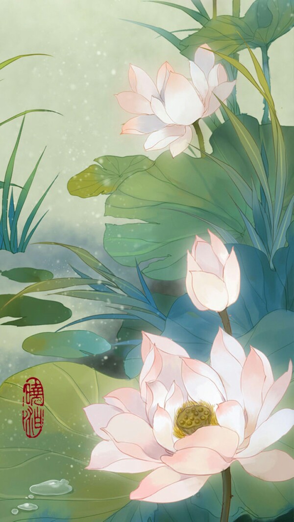 晓泊 手绘插画系列花卉 荷花 - 堆糖,美图壁纸兴趣社区