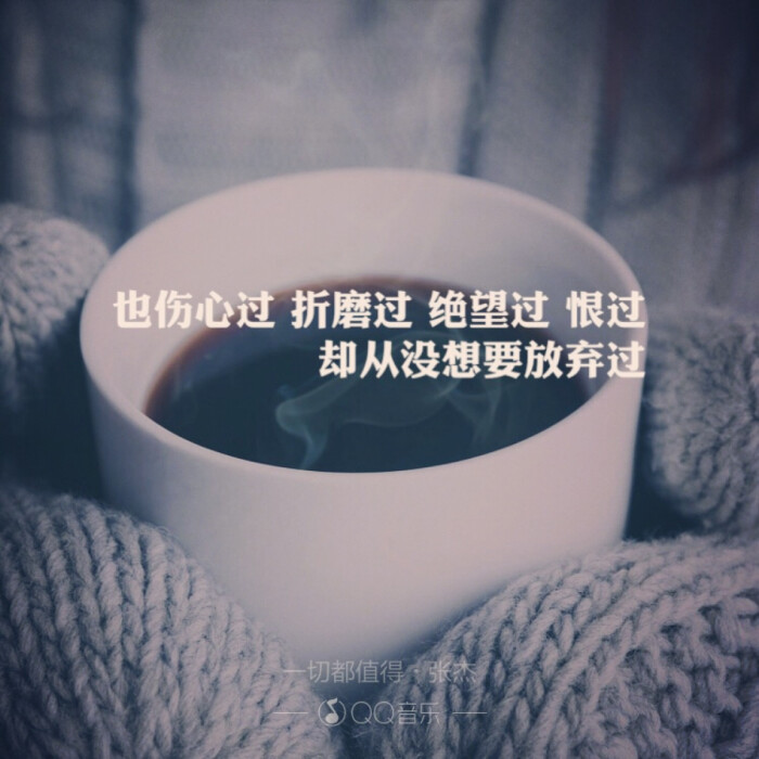 也伤心过 折磨过 绝望过 恨过 却从没想要放弃过.