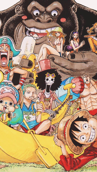 动漫 海贼王 onepiece 海贼壁纸 草帽海贼团