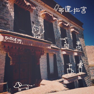堆糖遇见坚果#西藏—布达拉宫
