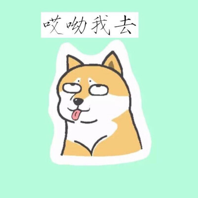 doge 表情 聊天表情 微博表情 微信表情 qq表情 贱表情 搞怪