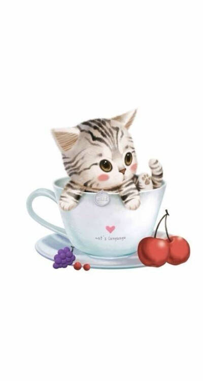 萌猫手绘