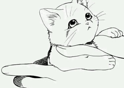 橡皮章 猫