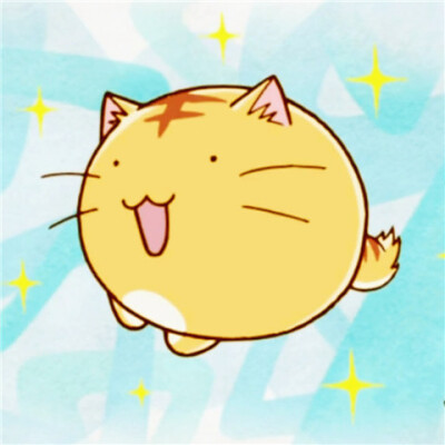 ポヨポヨ観察日记萌 萌宠 可爱 卡哇伊 猫咪 猫 头像 动漫头像 卡通