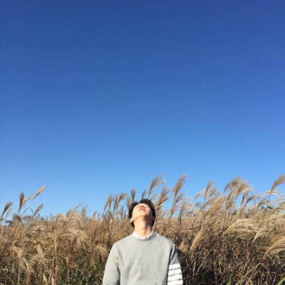 情头