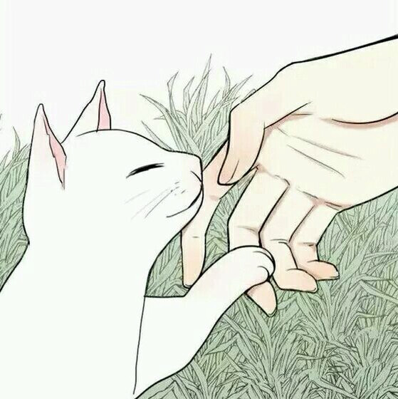 森系童话,萌萌的猫咪