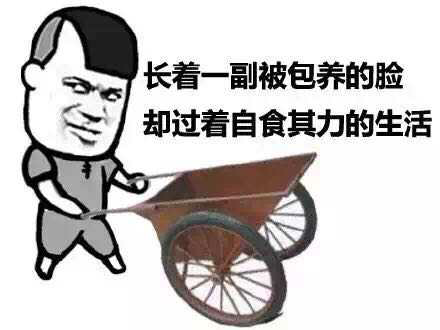 搬砖去吧 别bb