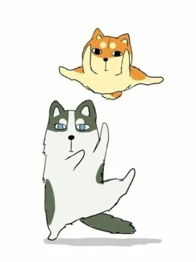 柴犬哈士奇