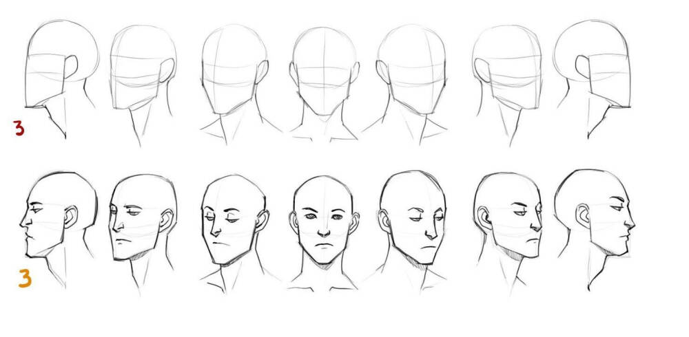 人体 头 线稿 各个角度 结构 面部