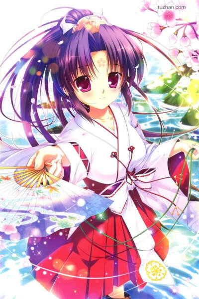 二次元,少女,巫女服!