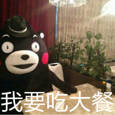 熊本熊 表情包