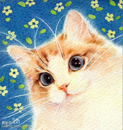 发布到  萌物 图片评论 0条  收集   点赞  评论  猫咪后院 萌猫 0 0