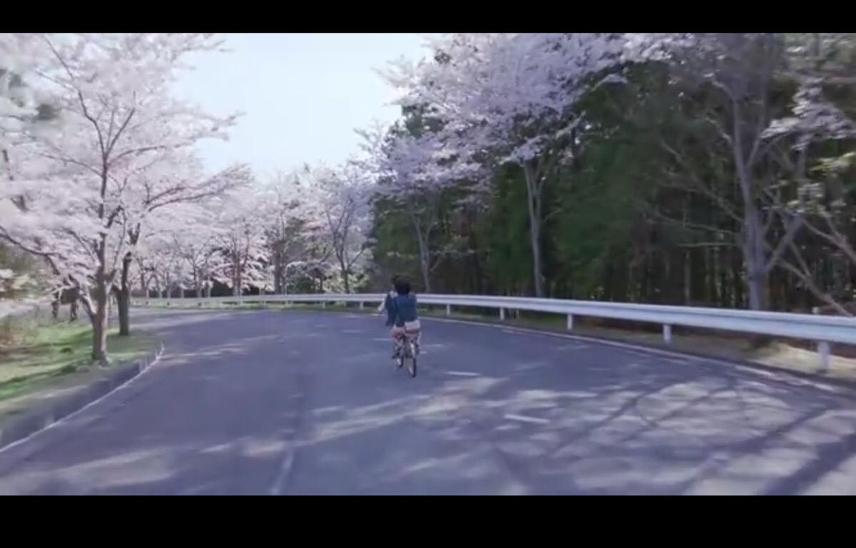 海街日记 樱花隧道