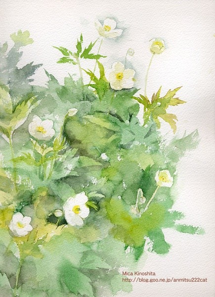 手绘 水彩 水粉 植物 花朵 花草 堆糖,美图壁纸兴趣社区