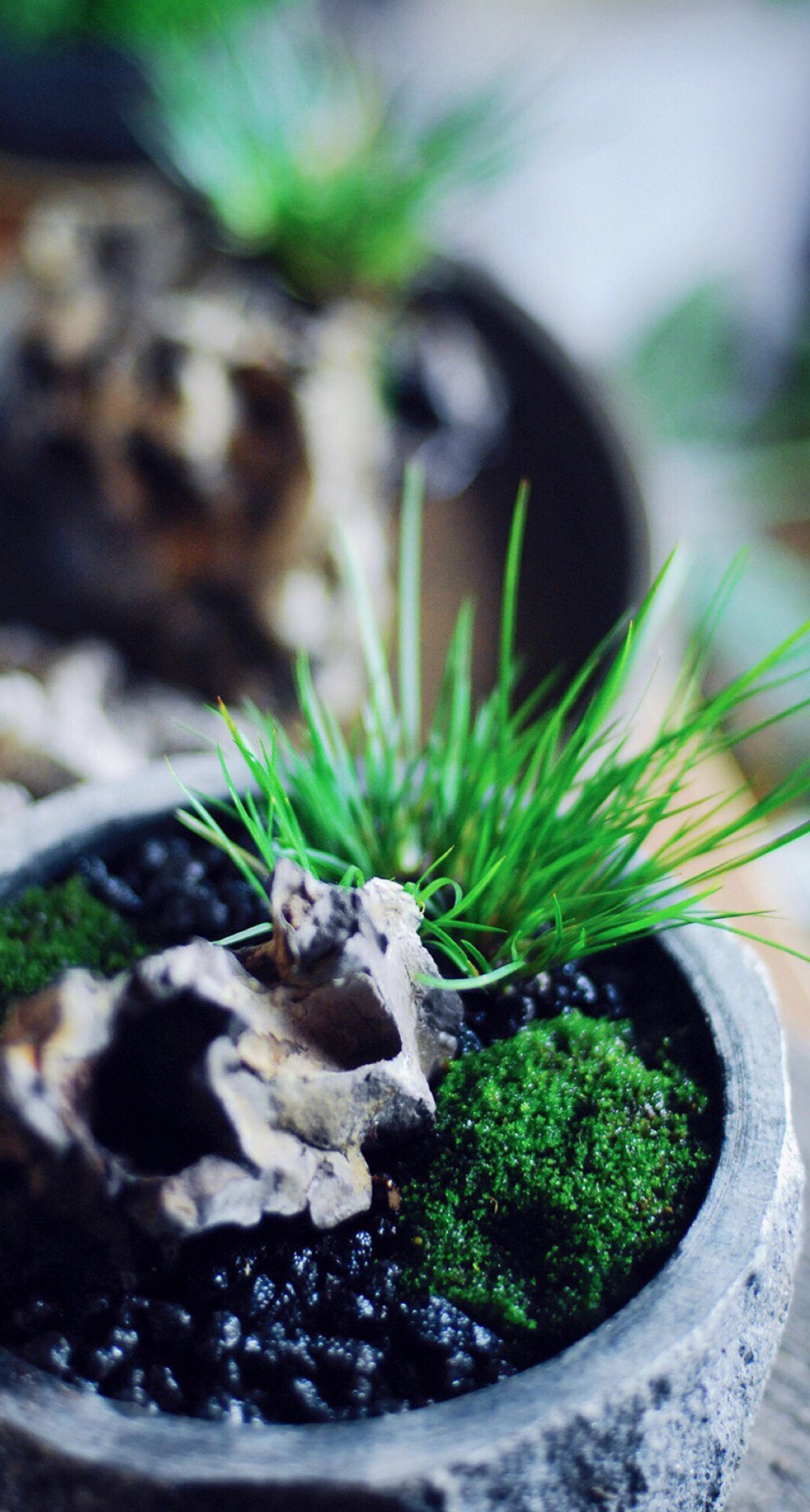 高清手机壁纸 护眼绿色