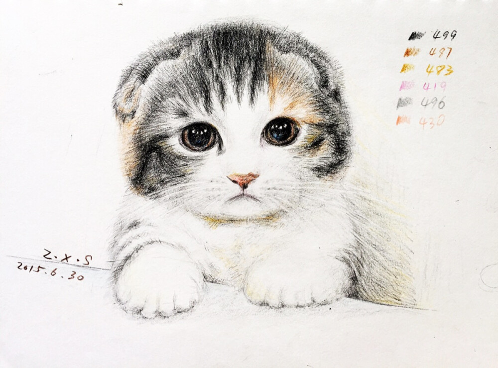 奶猫 喵 彩铅 彩铅画 彩铅猫咪 彩铅动物 绘画 原创 手绘 插画 插画师