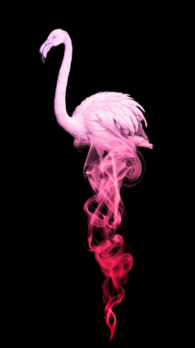 oppo壁纸