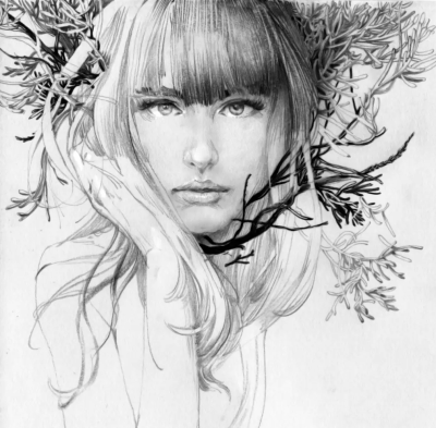 优秀素描写生作品