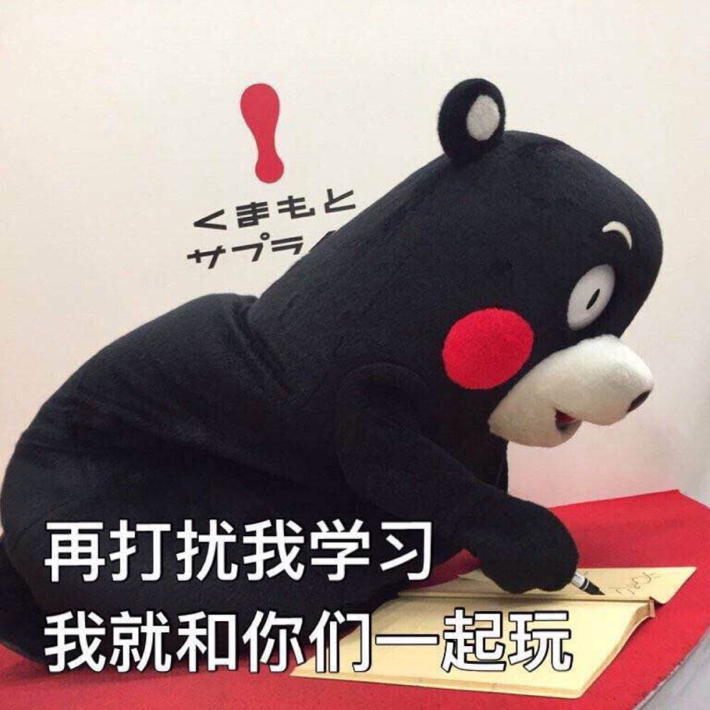 部长表情包 熊本熊 kumamon 熊本熊表情 期末专用!