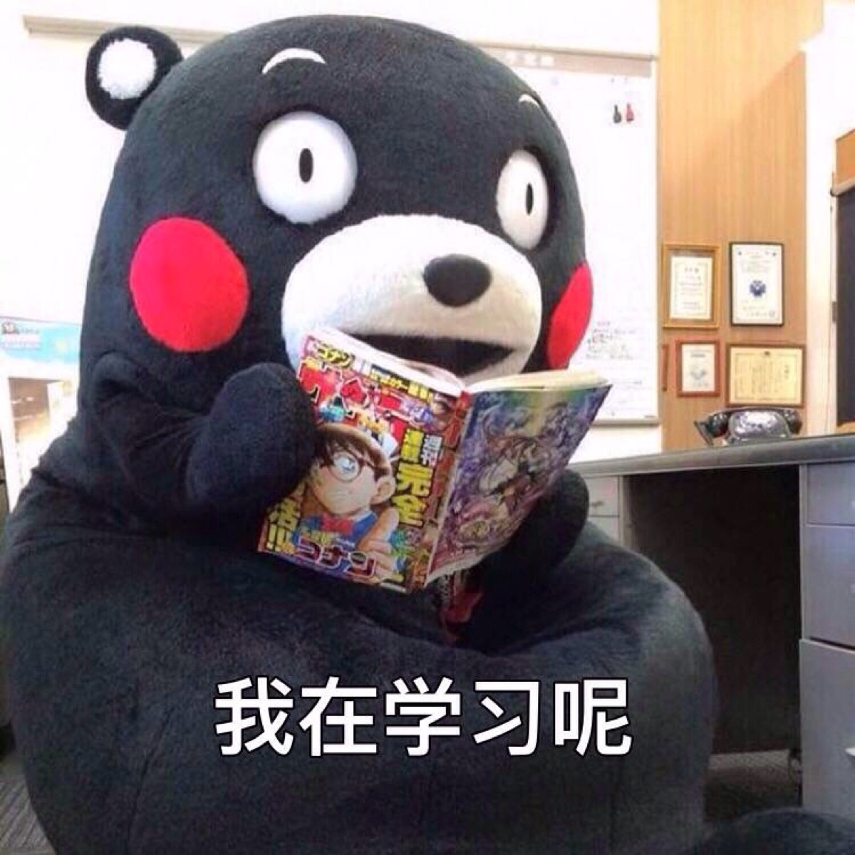 部长表情包 熊本熊 kumamon 熊本熊表情～ 我在学习呢～()