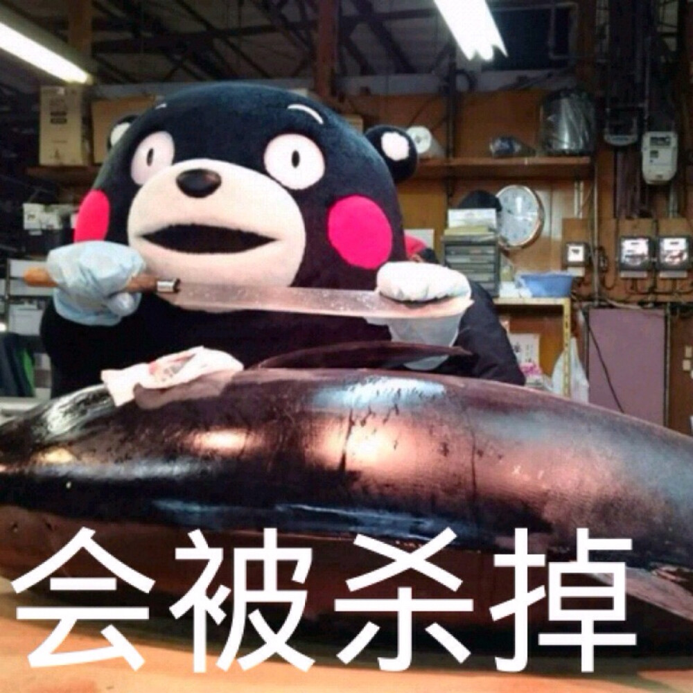 部长表情包 熊本熊 kumamon 熊本熊表情 如果太胖,会被杀掉)