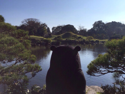 部长 熊本熊 kumamon～炒鸡萌～ 美腻的背影(/ω)