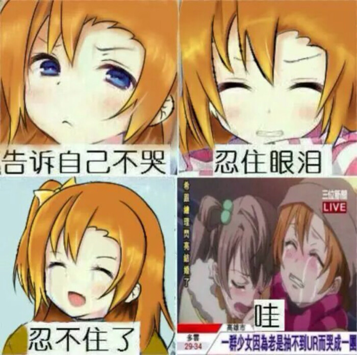 二次元#果鸟表情包#lovelive!