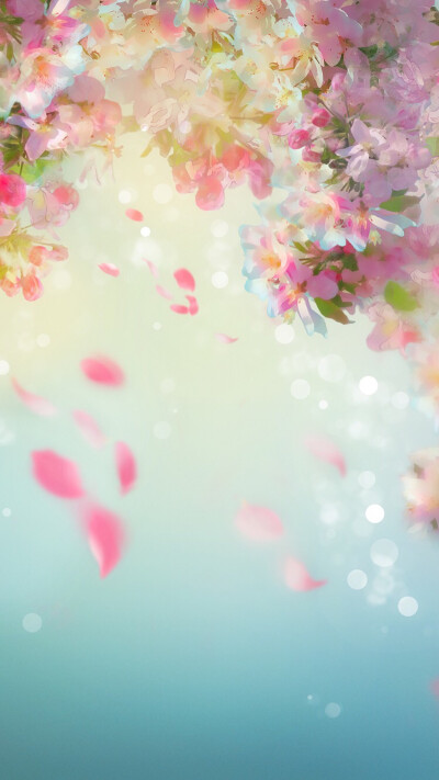 网络壁纸～花瓣雨,很唯美的壁纸～高清hd无水印!