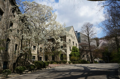auditorium最具代表性,世界闻名的女子大学之一
