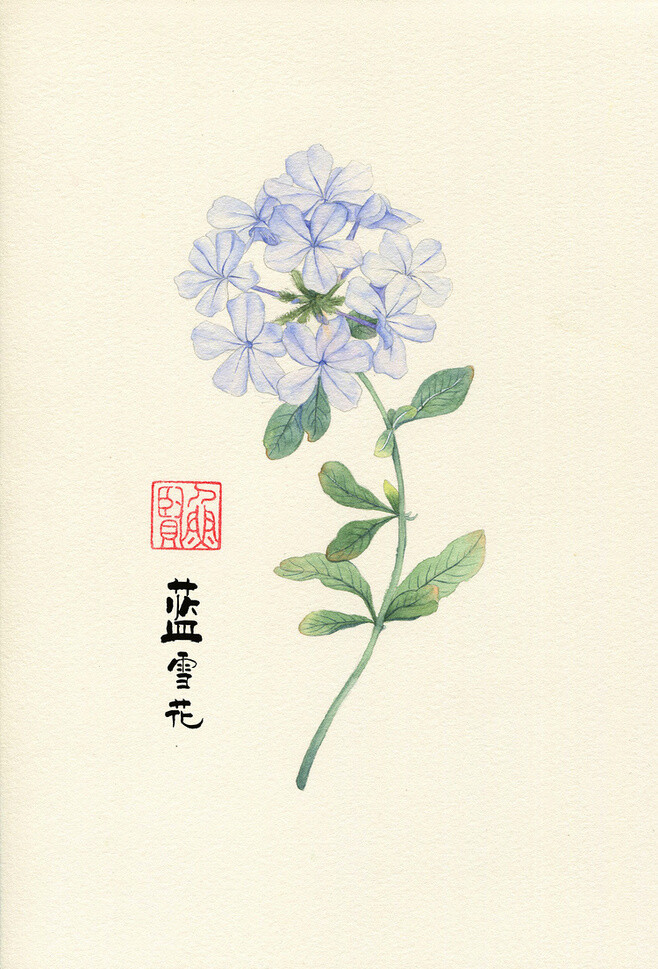 花 插画 风景 人物 森系 手绘 水彩 涂鸦 星空 唯美 意境 背景 二次元