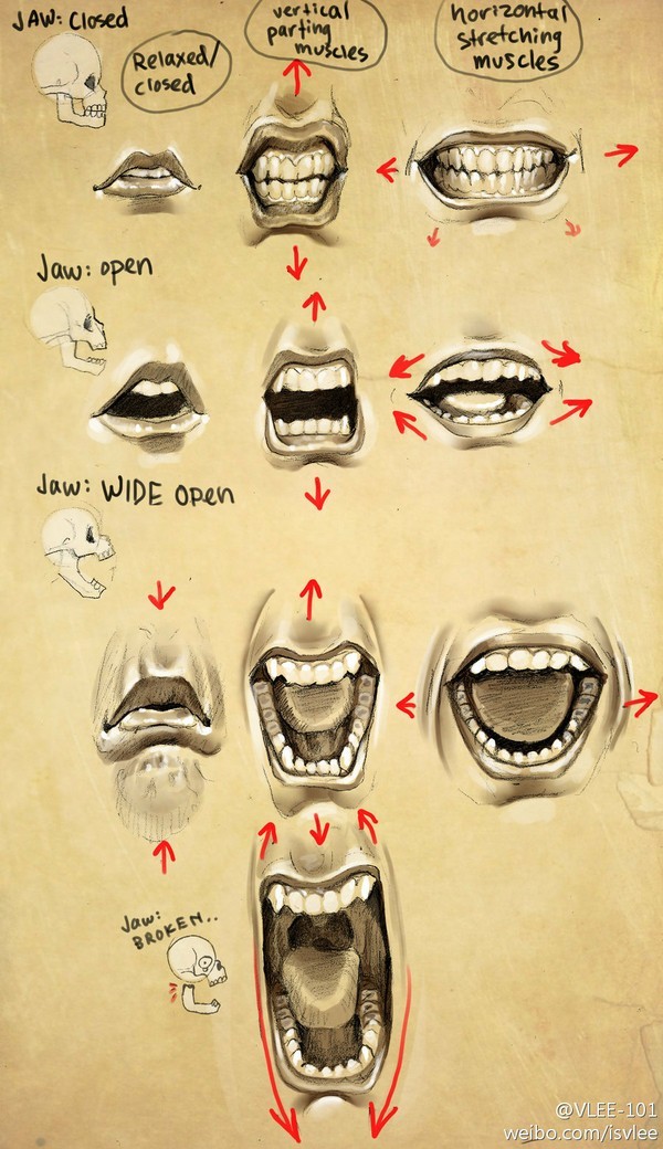 嘴部教程 口型教程 手绘教程 有需要的小天才们收了它吧!