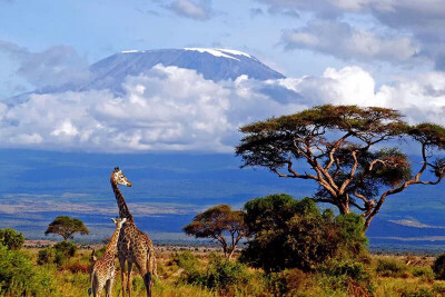 东非高原乞力马扎罗山东非高原上的非洲屋脊,将同阿尔卑斯冰川一样的