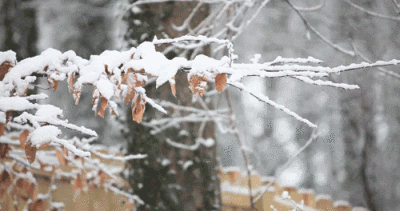 下雪了.