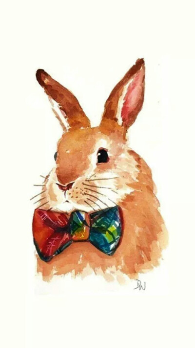 帅兔子