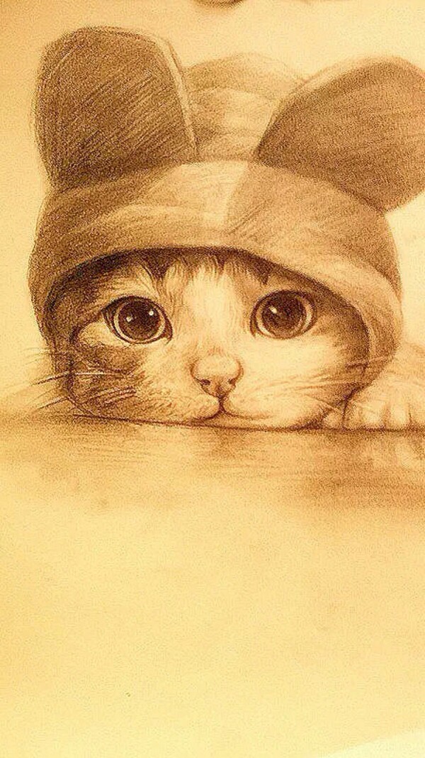 素描猫咪 - 堆糖,美图壁纸兴趣社区