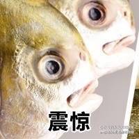 震惊表情包