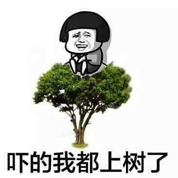 吓得我都上树了 表情包