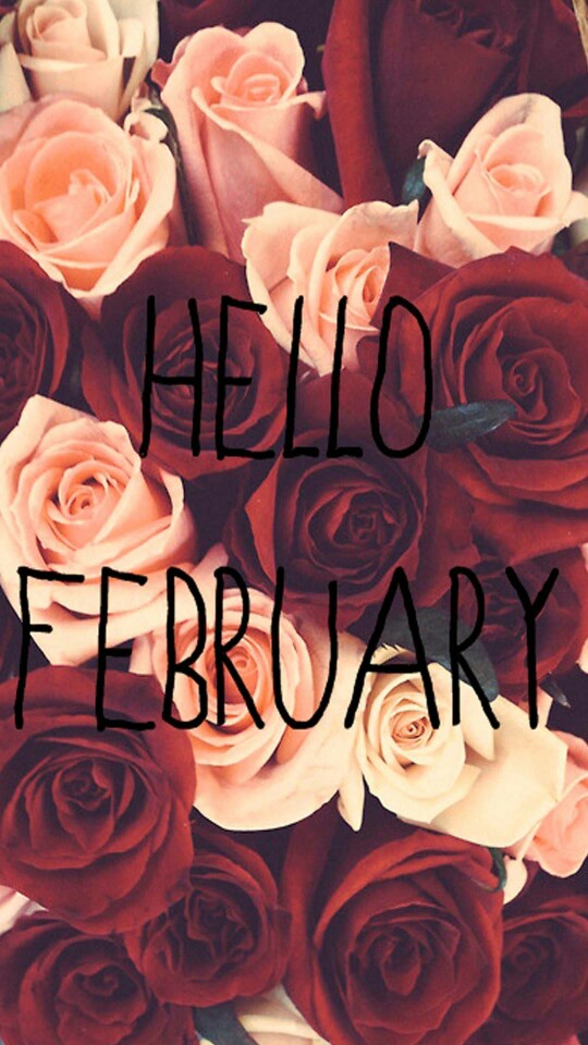 hello february 你好,二月!系列手机壁纸