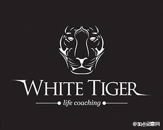 健身房老虎logo设计