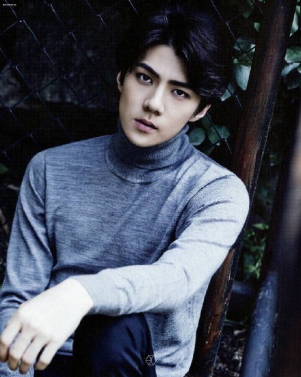 exo吴世勋