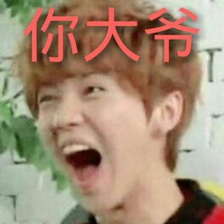 exo表情包鹿晗