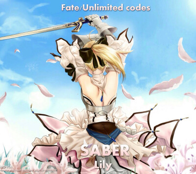 saber超清头像 吾王,saber超清头像 1080 【吾王】【saber】【五色战队】【fate】