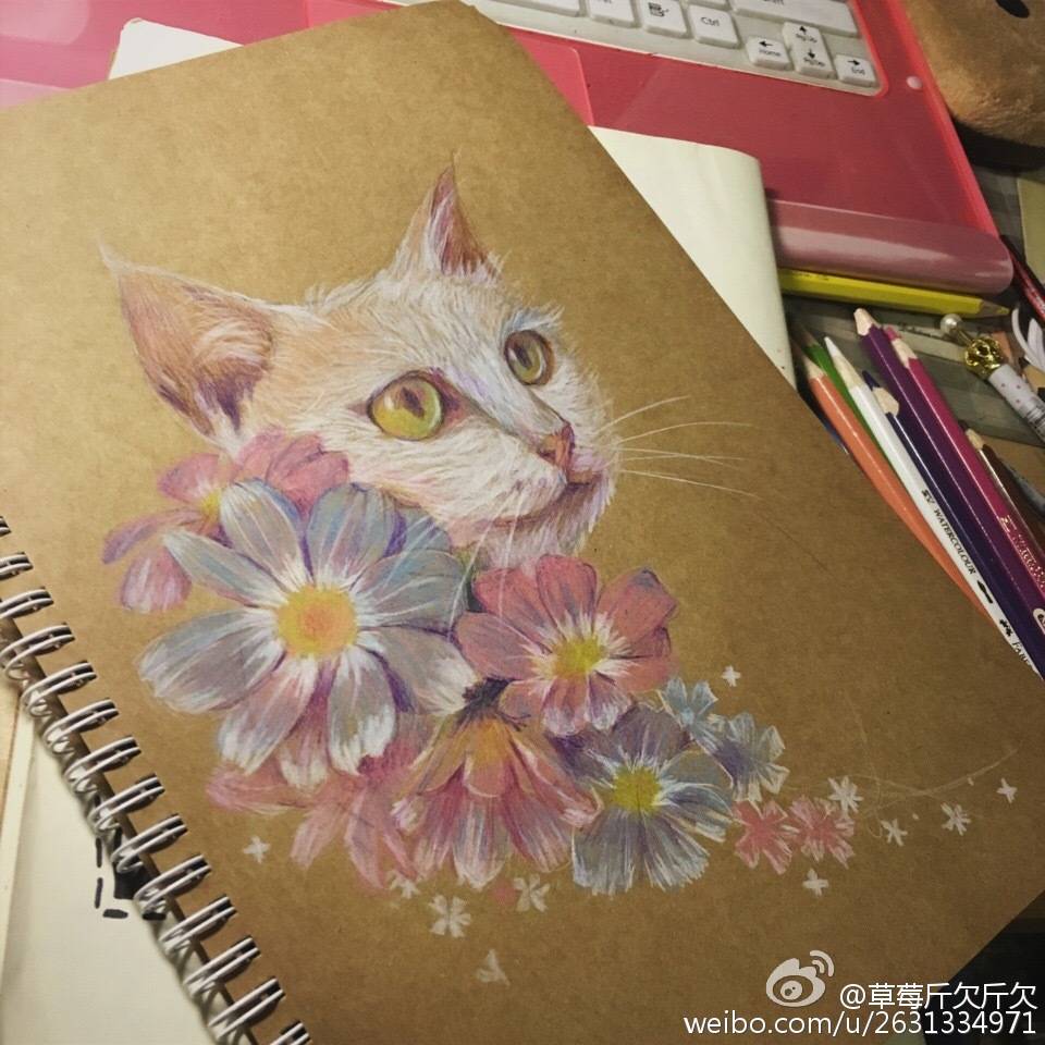 【侵删】#猫咪#彩绘#插画#花卉